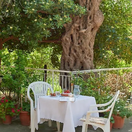 Apartmani Kuca U Maslinama Sveti Stefan Exterior photo